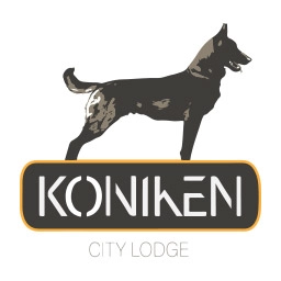 Discovering the city